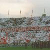 -SK 72 Supporters- 52